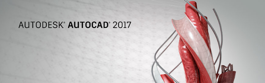 autocad 2017